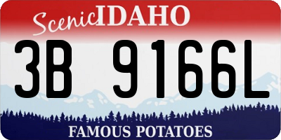 ID license plate 3B9166L