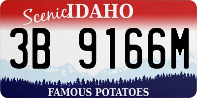 ID license plate 3B9166M