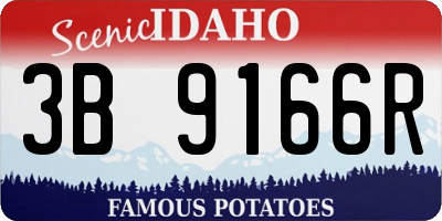 ID license plate 3B9166R