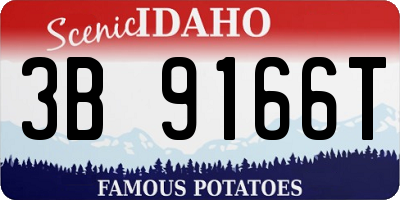 ID license plate 3B9166T