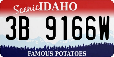 ID license plate 3B9166W