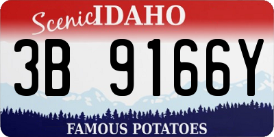 ID license plate 3B9166Y