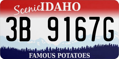 ID license plate 3B9167G