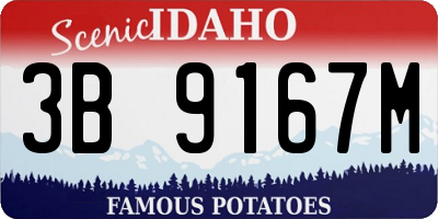 ID license plate 3B9167M