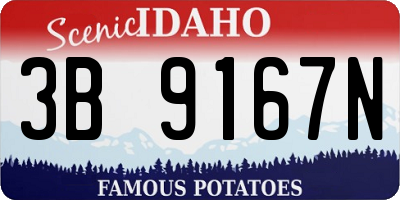 ID license plate 3B9167N