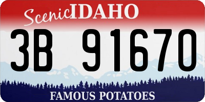 ID license plate 3B9167O