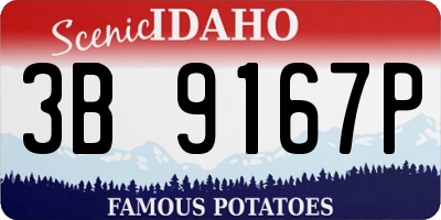 ID license plate 3B9167P