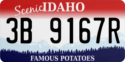 ID license plate 3B9167R