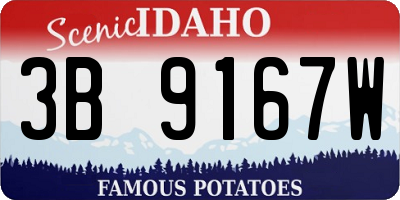 ID license plate 3B9167W