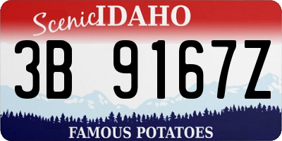 ID license plate 3B9167Z