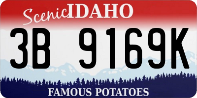 ID license plate 3B9169K