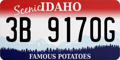 ID license plate 3B9170G