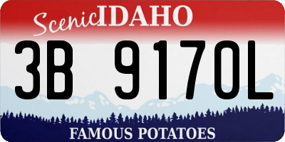ID license plate 3B9170L