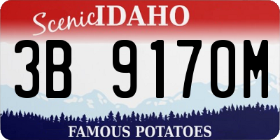 ID license plate 3B9170M