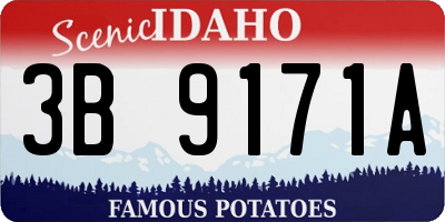 ID license plate 3B9171A
