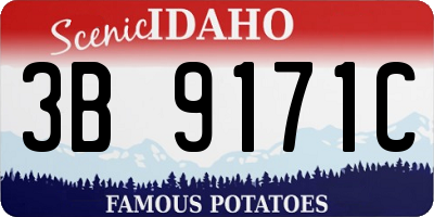 ID license plate 3B9171C