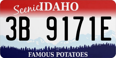 ID license plate 3B9171E