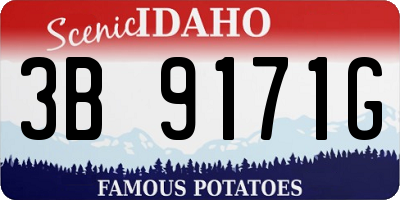 ID license plate 3B9171G