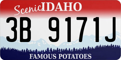 ID license plate 3B9171J