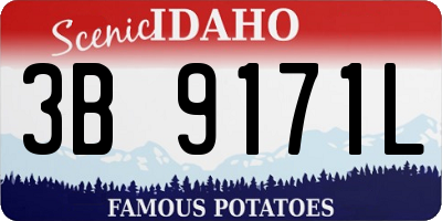 ID license plate 3B9171L