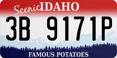 ID license plate 3B9171P