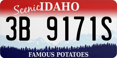 ID license plate 3B9171S