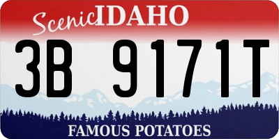 ID license plate 3B9171T