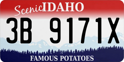 ID license plate 3B9171X