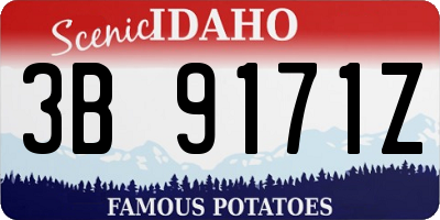 ID license plate 3B9171Z