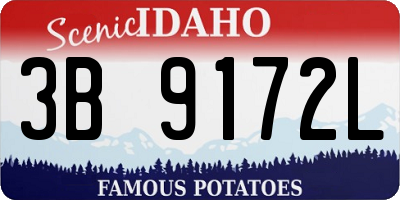 ID license plate 3B9172L