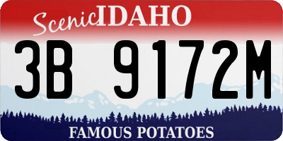 ID license plate 3B9172M