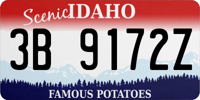ID license plate 3B9172Z
