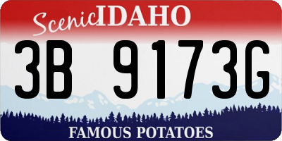 ID license plate 3B9173G