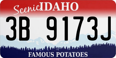 ID license plate 3B9173J