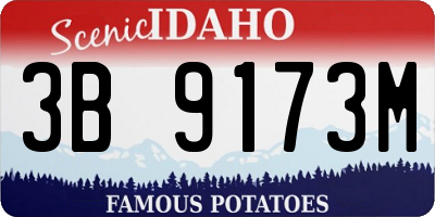 ID license plate 3B9173M