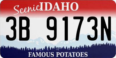 ID license plate 3B9173N