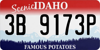 ID license plate 3B9173P