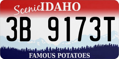 ID license plate 3B9173T