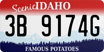 ID license plate 3B9174G