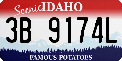 ID license plate 3B9174L