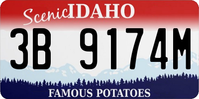 ID license plate 3B9174M