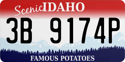 ID license plate 3B9174P