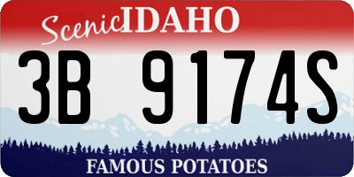 ID license plate 3B9174S