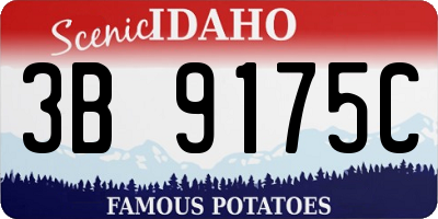 ID license plate 3B9175C