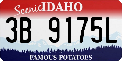 ID license plate 3B9175L