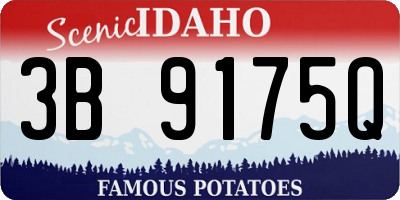 ID license plate 3B9175Q