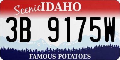 ID license plate 3B9175W