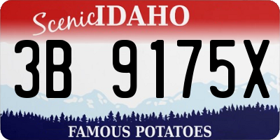 ID license plate 3B9175X