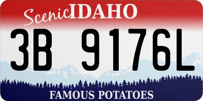ID license plate 3B9176L