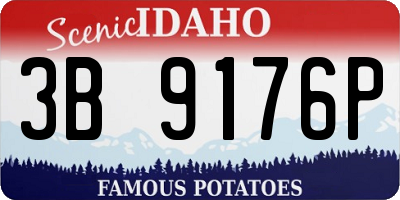ID license plate 3B9176P